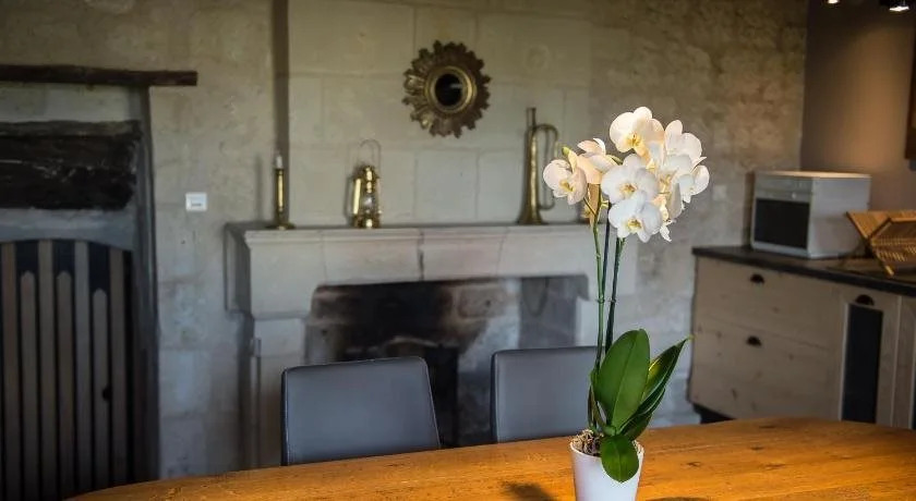 Gîte Les Orchidées de la Loire SAUMUR