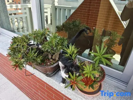 Shanguang Haishe Homestay on Meizhou Island
