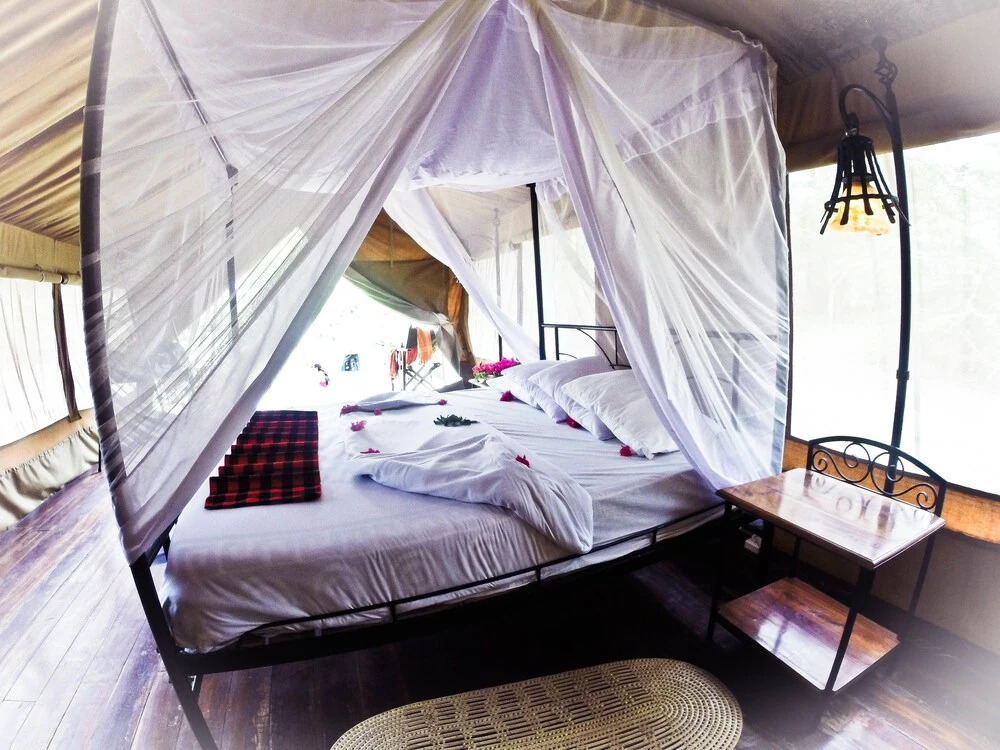 Nsya Lodge