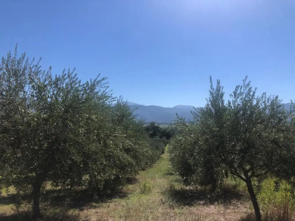 Appartamento immerso nel verde
