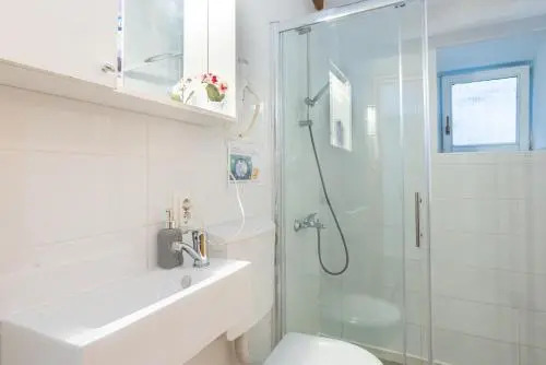Apartment Gobac
