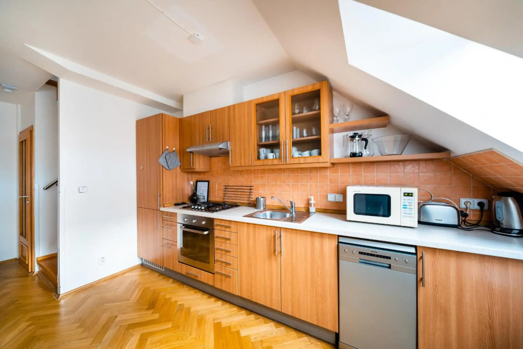 Klimentska Cartoon apartments