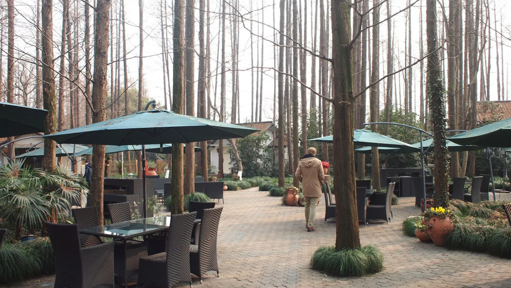 Lotus Glade Hotel