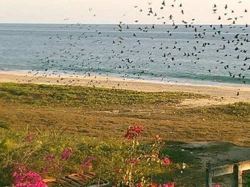 Posada Zaira del Mar