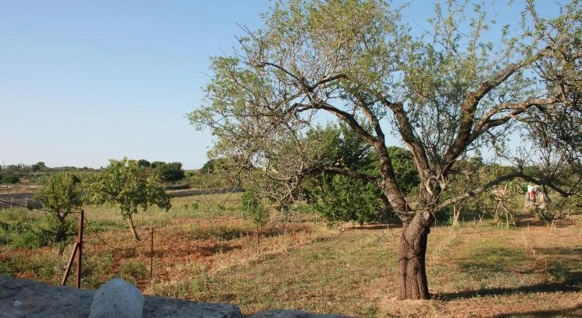 Kalinifta - Io parto Io arrivo