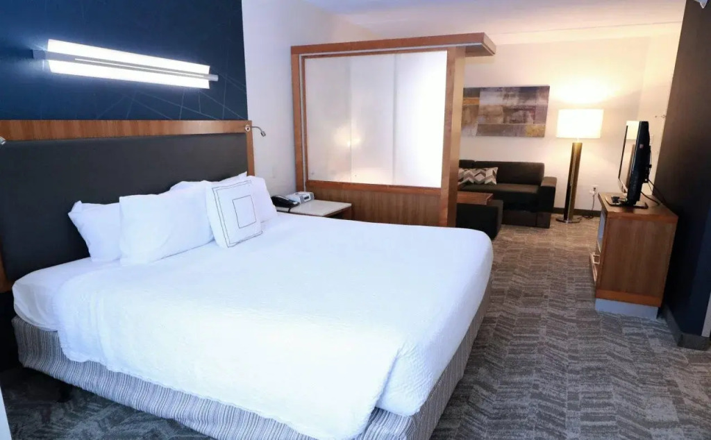 Springhill Suites by Marriott San Antonio Alamo Plaza/Convention Center