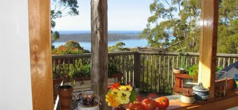 Bed in the Treetops Bed & Breakfast