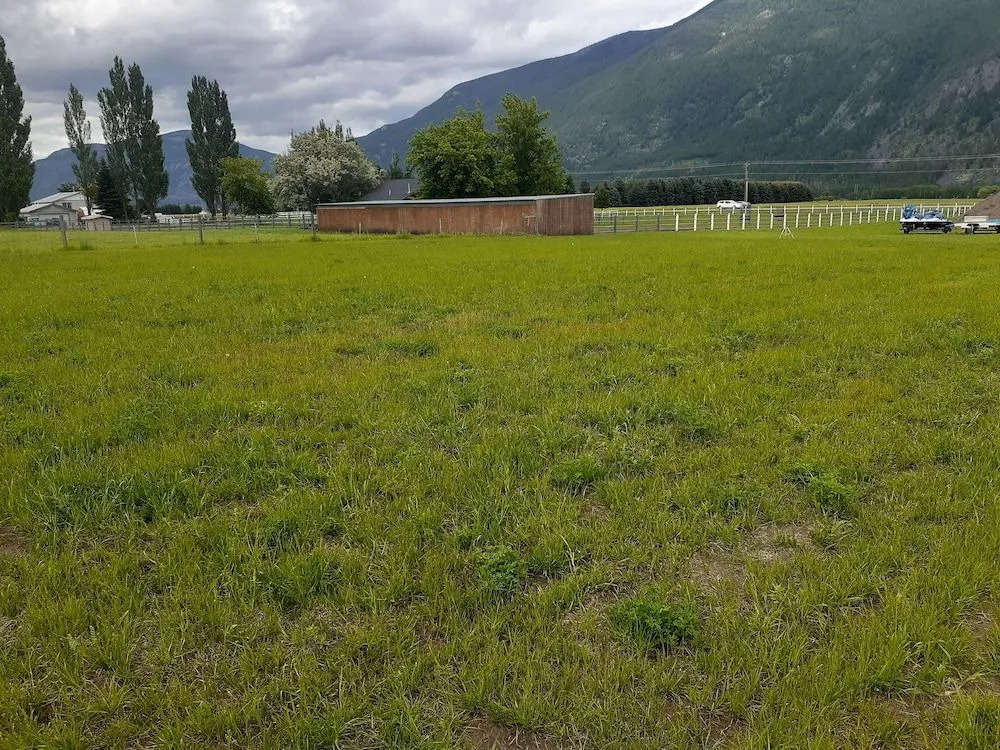 Glacier Acres Guest Ranch