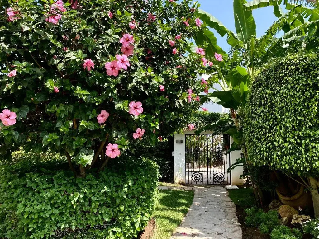 Sunny Studio apartment near to the beach RDR205