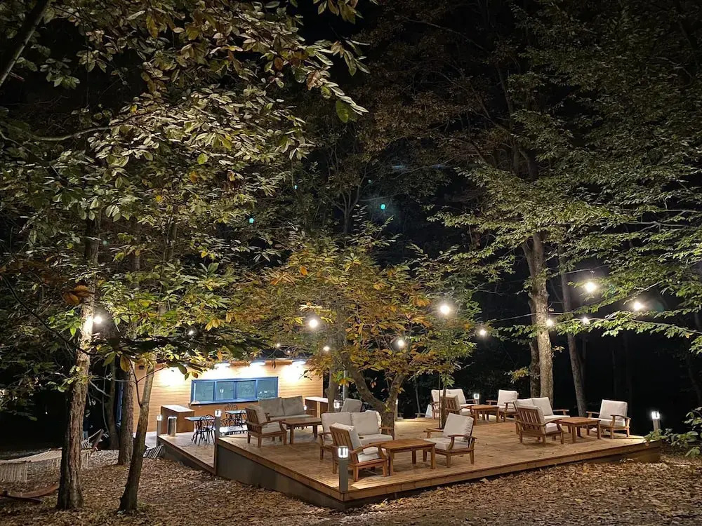 Šuma Disanje Hotel