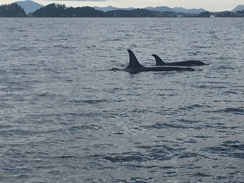 Sitka Hotel and Restaurant