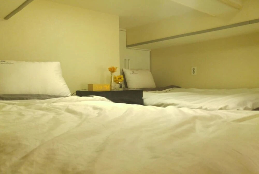 Luxury Loft and Free wifi egg