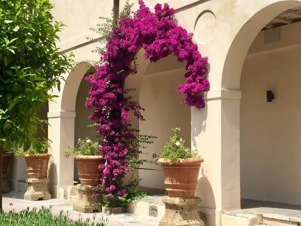 Residenza Doria Pamphilj