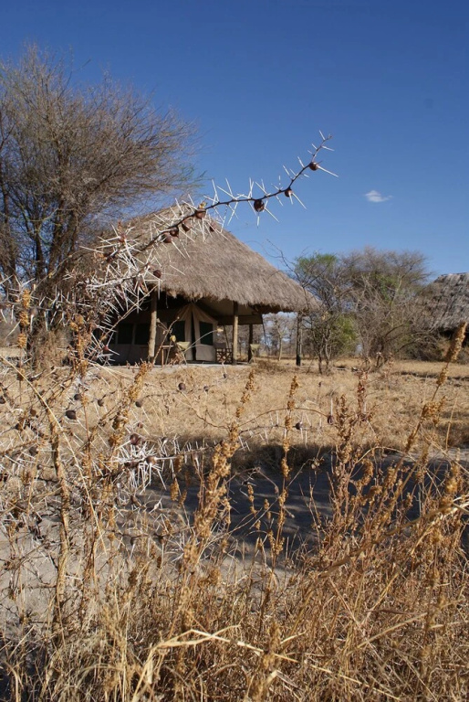 Whistling Thorn Tented Camp