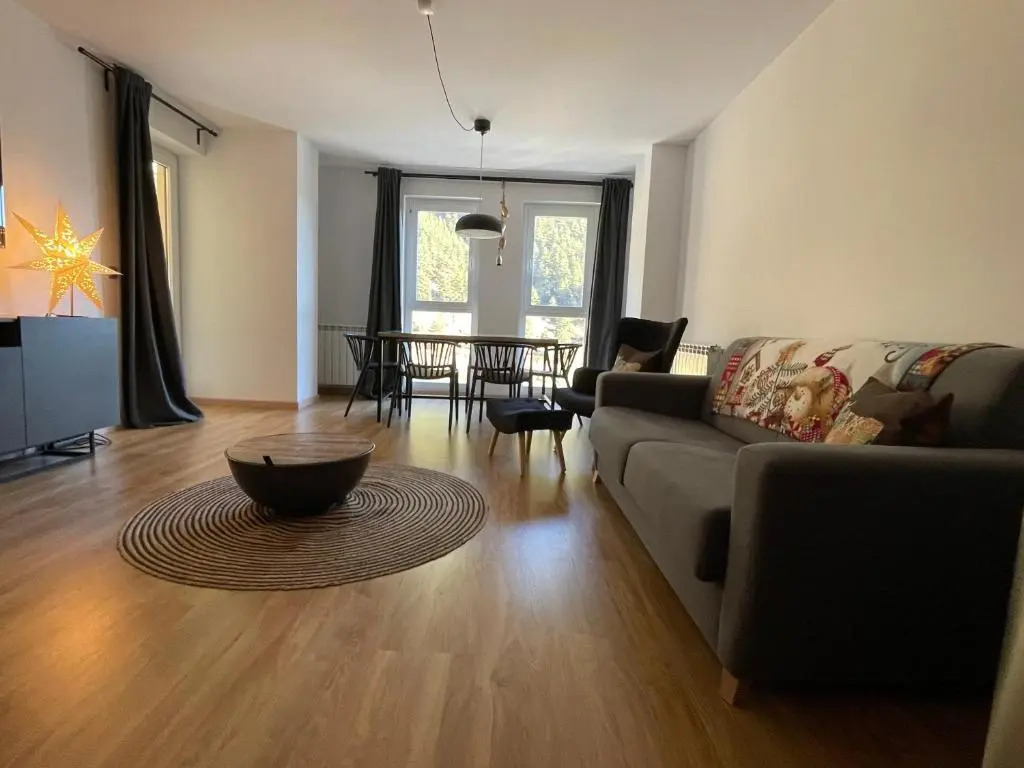Modern and cozy apartment in Arinsal with views - Vall del nord