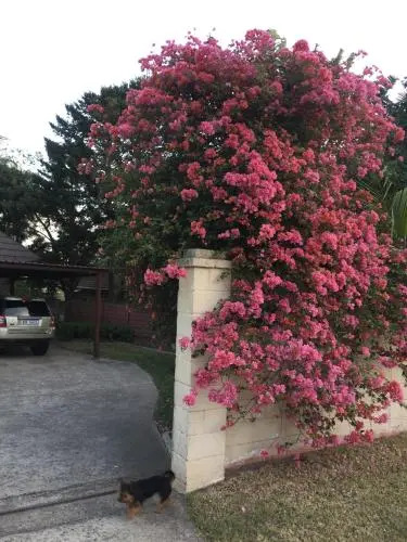 Serendipity Guest House