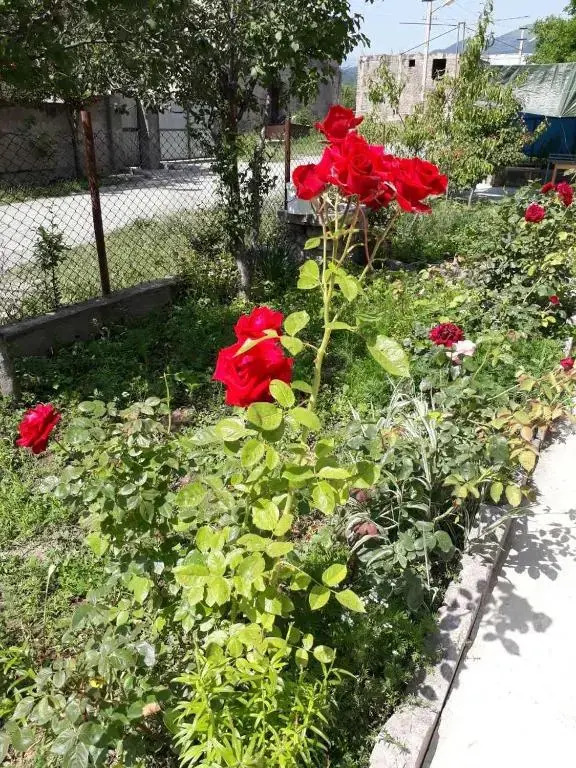 Green Dilijan B&B