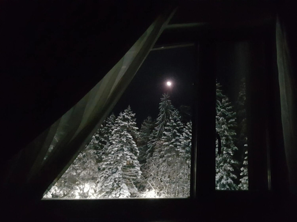 PinePino Borovets, aparthotel Borovets Gardens A60