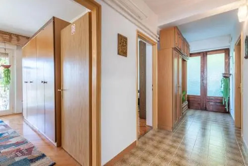 Apartment Vida