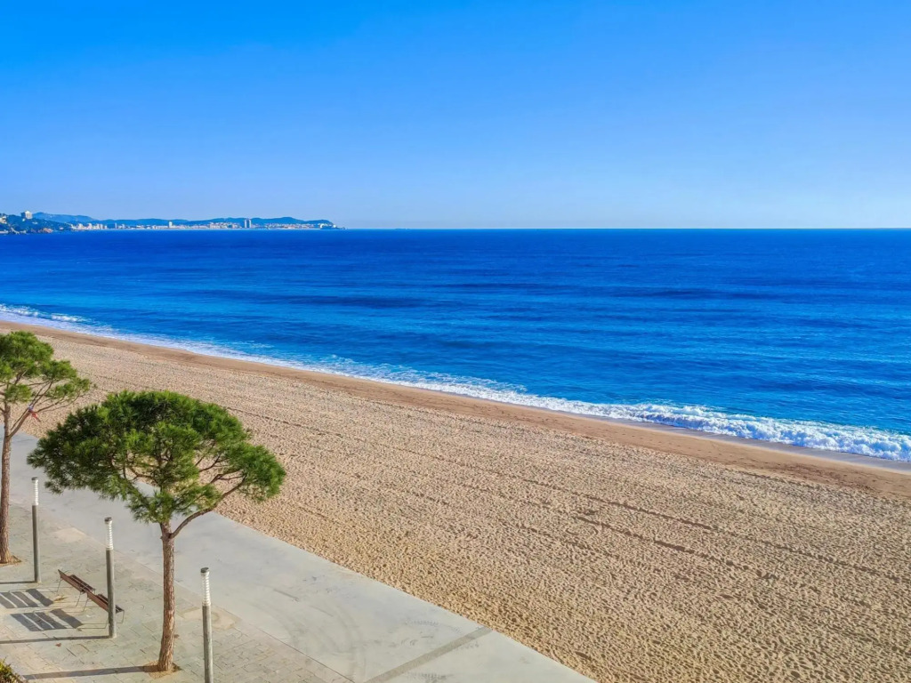 Cannes Planta 3 , Porta 7