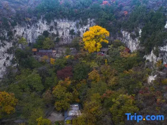 Yuanshan Hotel (Zibo Yuanshan Mansion)