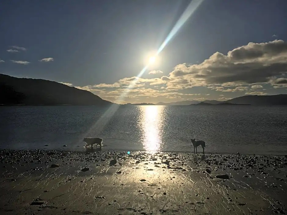 Highland Croft B&B