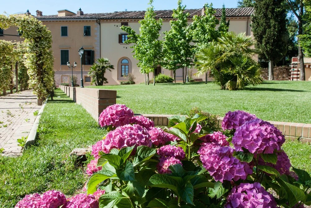 Casciana Apartments
