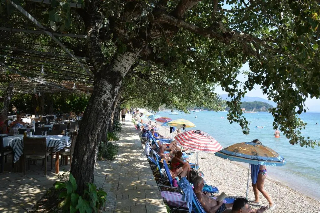 Dassia Beach Hotel