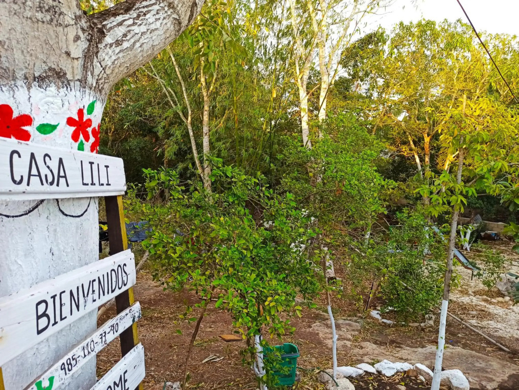 Casa Lili Excelente Oportunidad, Confort Total Y Alberca