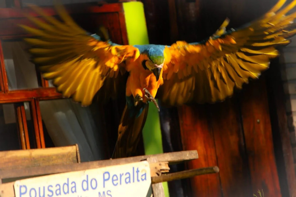 Pousada do Peralta