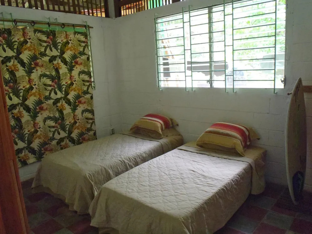 Hammock plantation