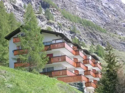 Zermatt Panoramic View Flat