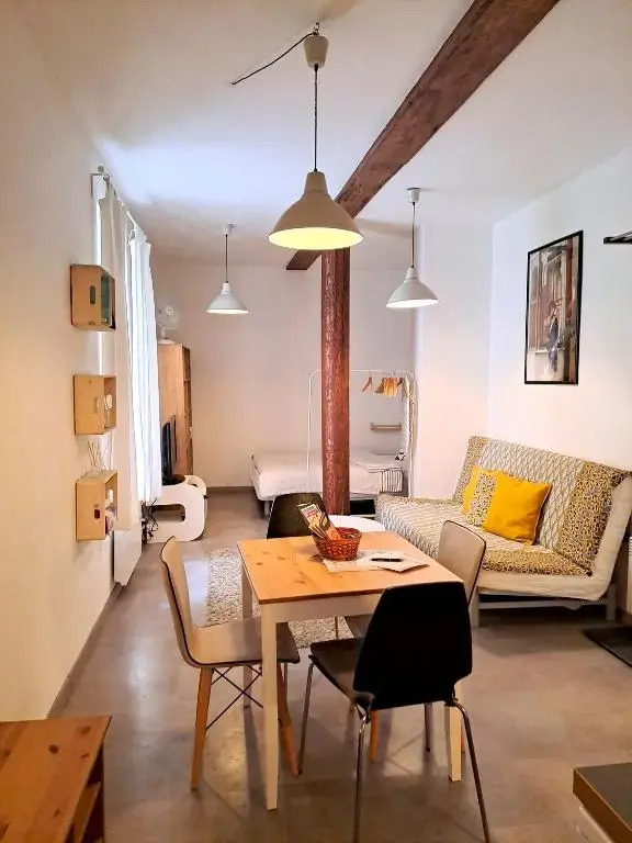 Magnificent apartment in the center of Prague