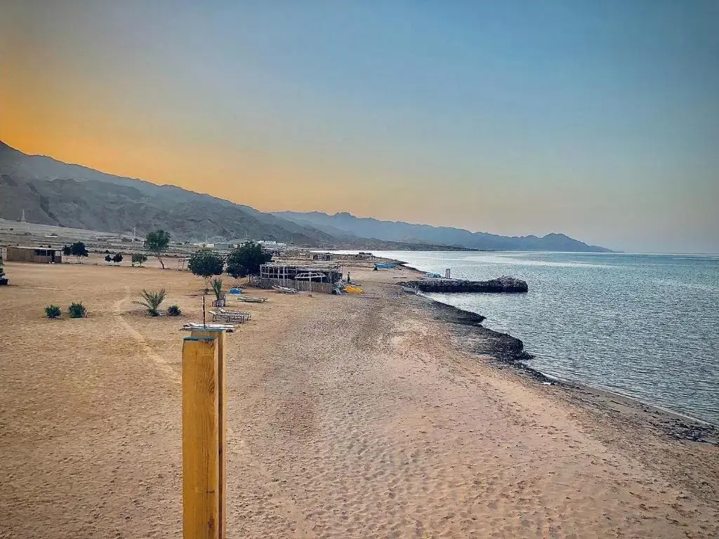 Lala Land Camp