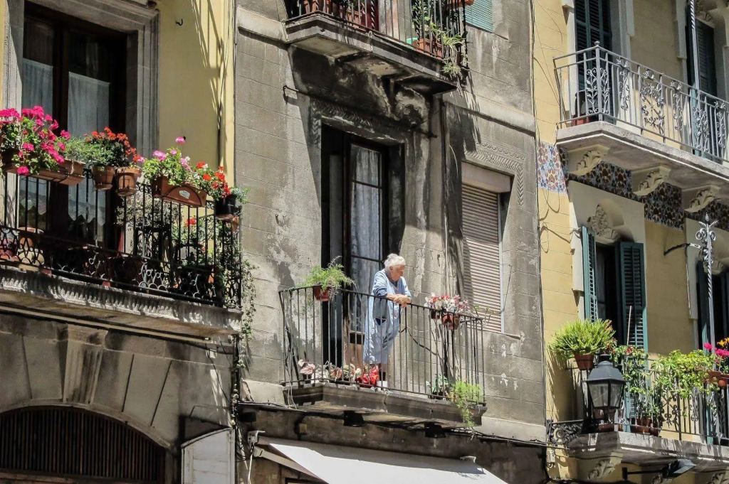 Ciutat Vella Apartments Born Area