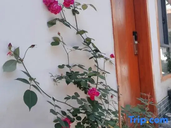 Ting Yutang Homestay