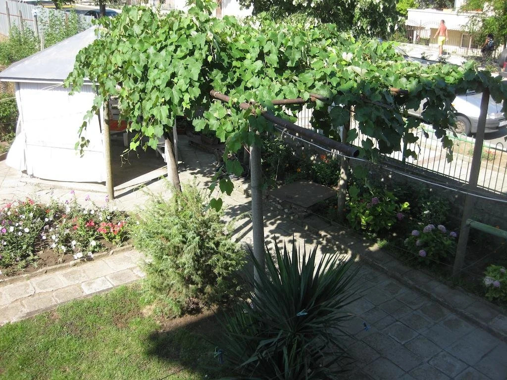 Rosi Guest House