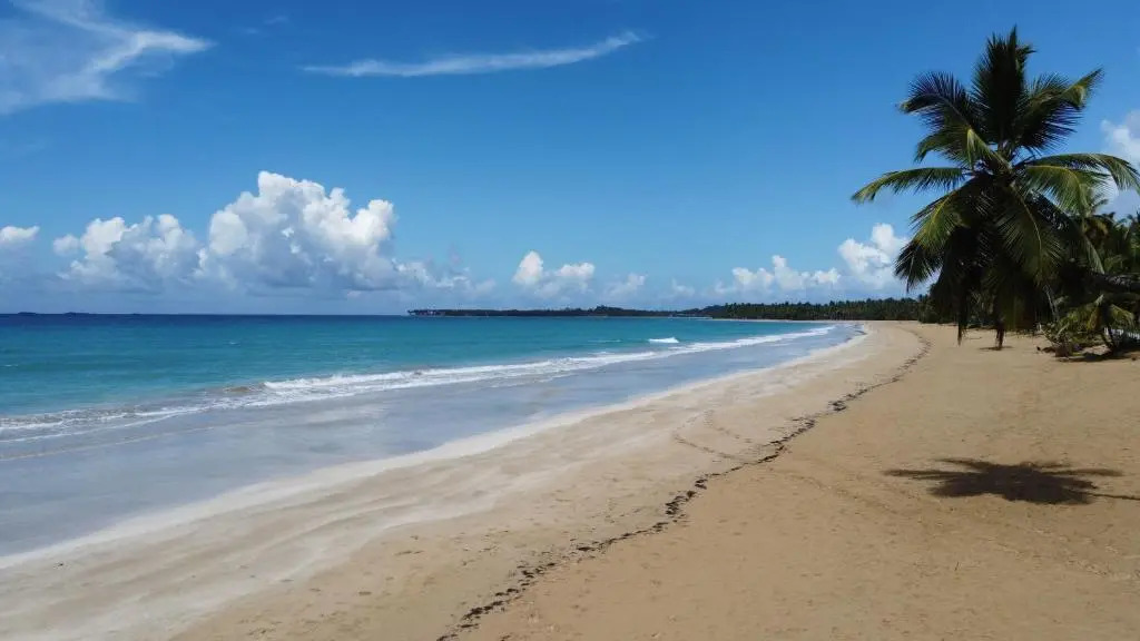 Flor de Coco, Villa neuve, 5 chambres, 5 salles de bains et grande piscine à 250 mètres de la plage