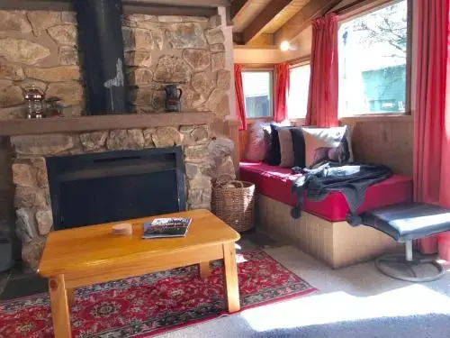 Bindi - Alpine Getawayss Chalet at Tower Rd