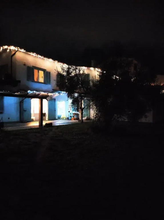 Gli olivi