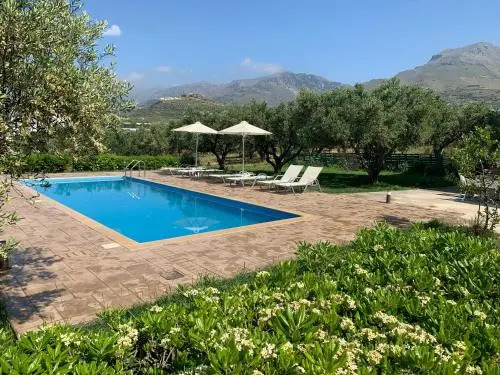 Kassiani Studios Olive Groove hotel