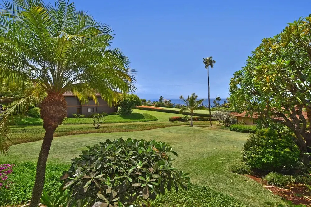 Kaanapali Plantation 11