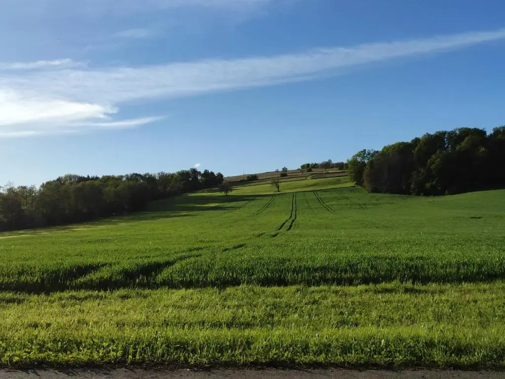 Abschalten am Albsteig in Albbruck im Süd-Schwarzwald großzügige Ferienwohnung