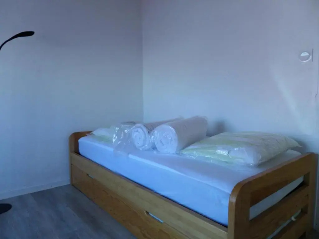 Maison Biscarrosse Plage, 4 pièces, 6 personnes - FR-1-521-183