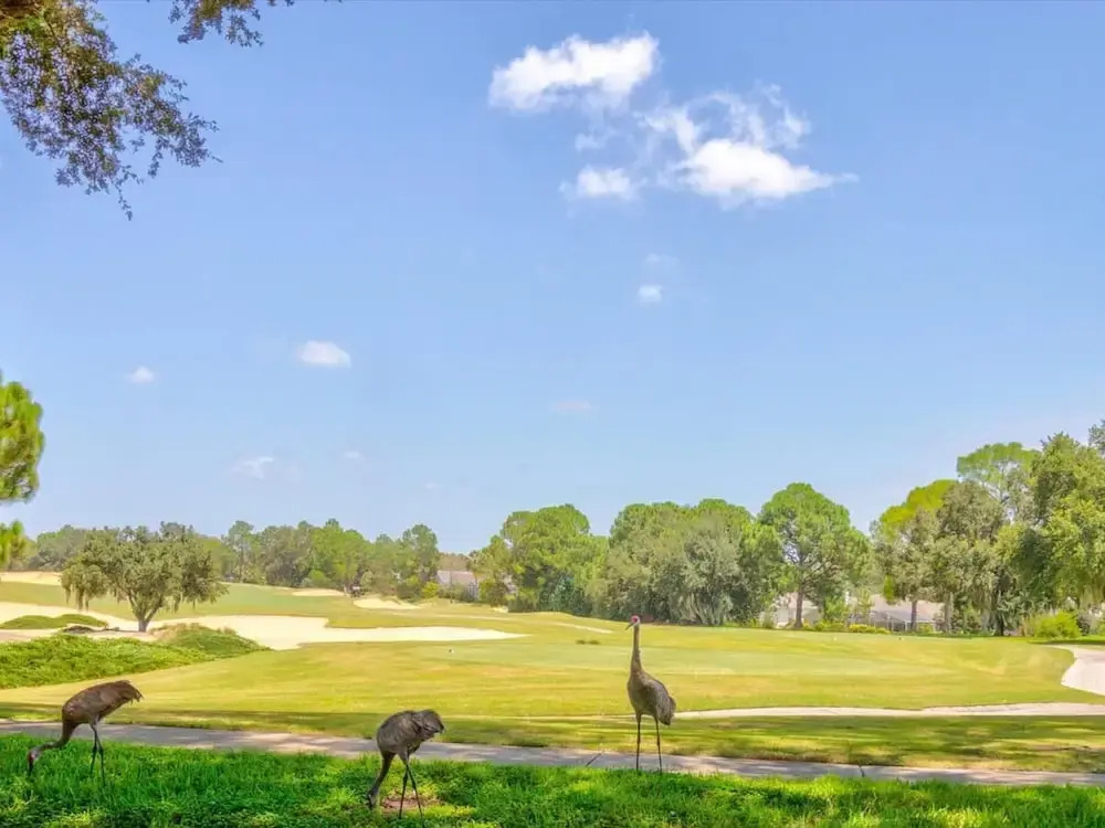 3Bd Villa, Private Pool & Golf View, Walmart 2 min