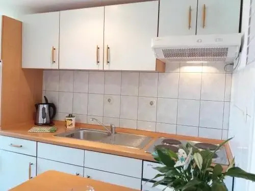 Apartments Meri