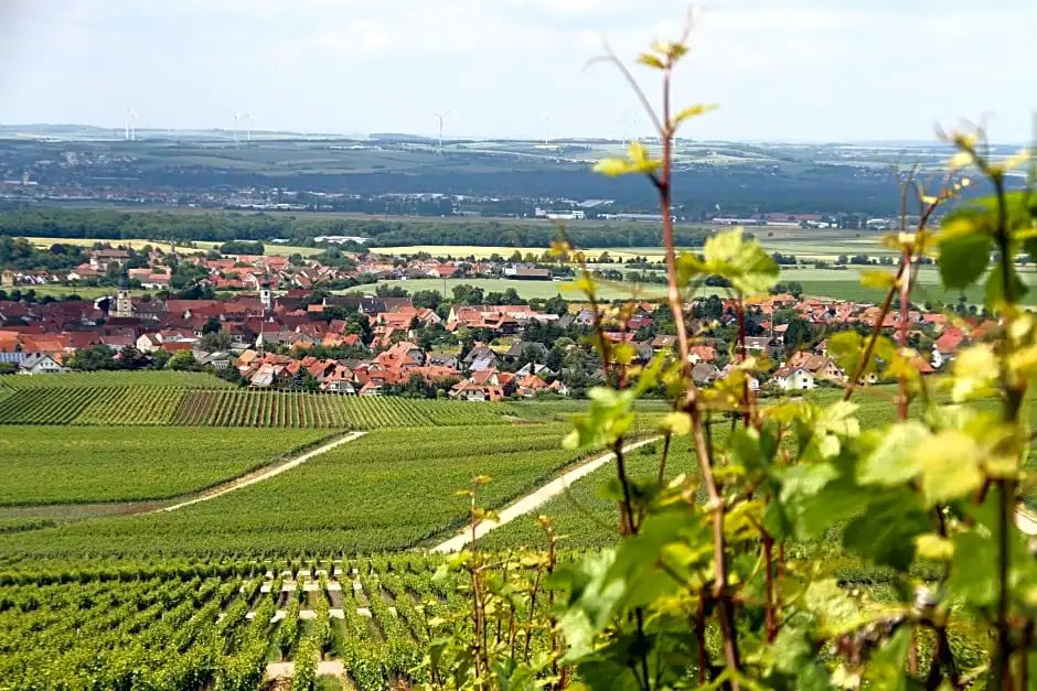 Hotel & Gasthof zum Rödelseer Schwan