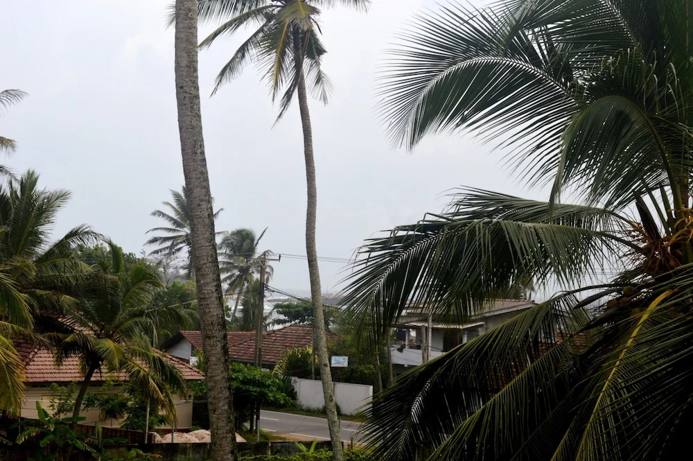 Shyni Tourist Guesthouse