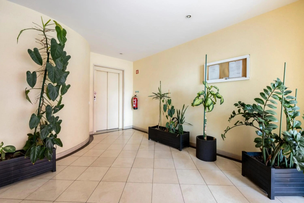 Apartamentos Mira Rio