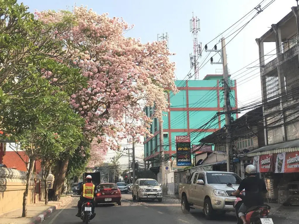 SOOK Café and Hostel